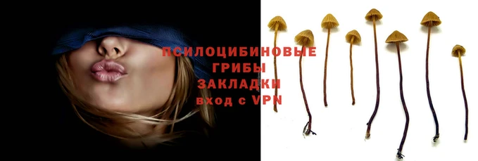 марки nbome Баксан